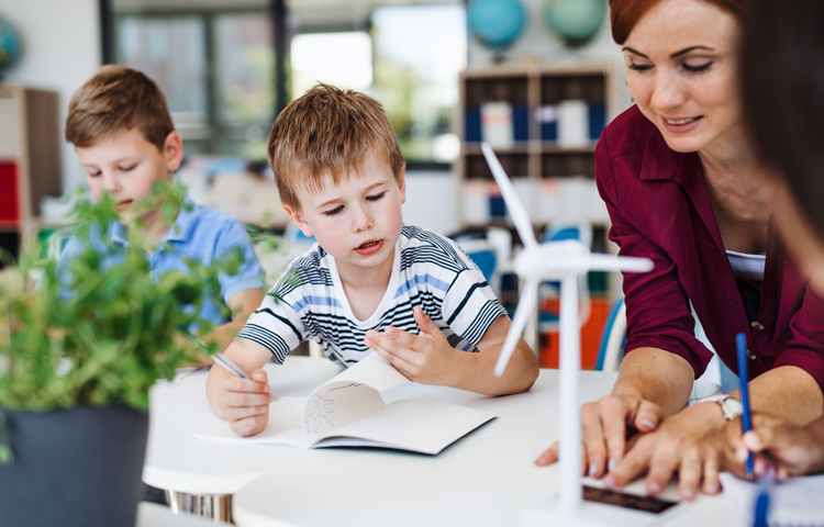 La neuroeducación en los currículos actuales